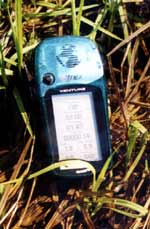 � ��� ��� ��� ����������? ����� �� ���� � ���!